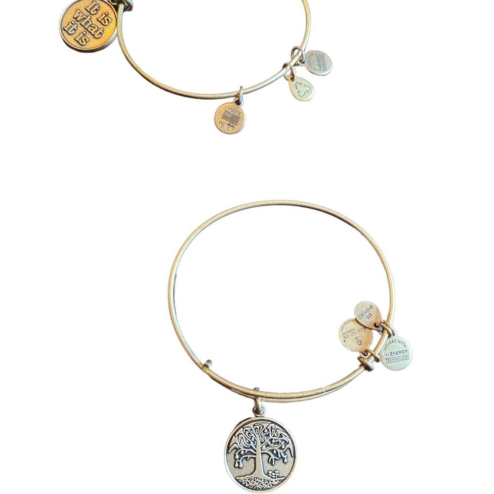 Alex and Ani Gold Charm 2 Piece Bracelet Set